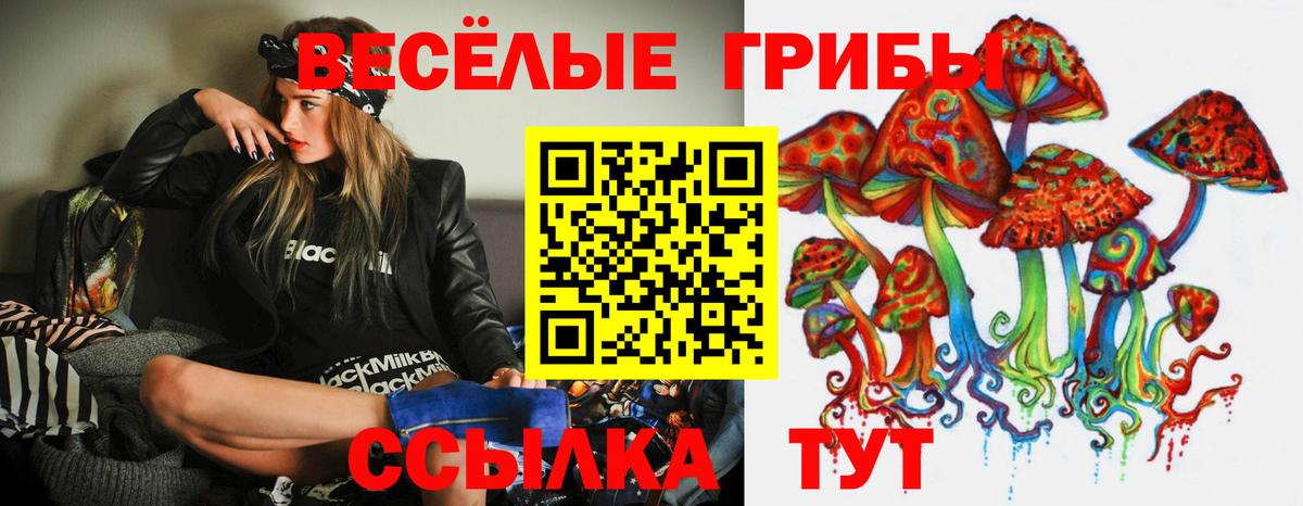 Менделеевск  Псилоцибиновые грибы прущие грибы  Вход с VPN 