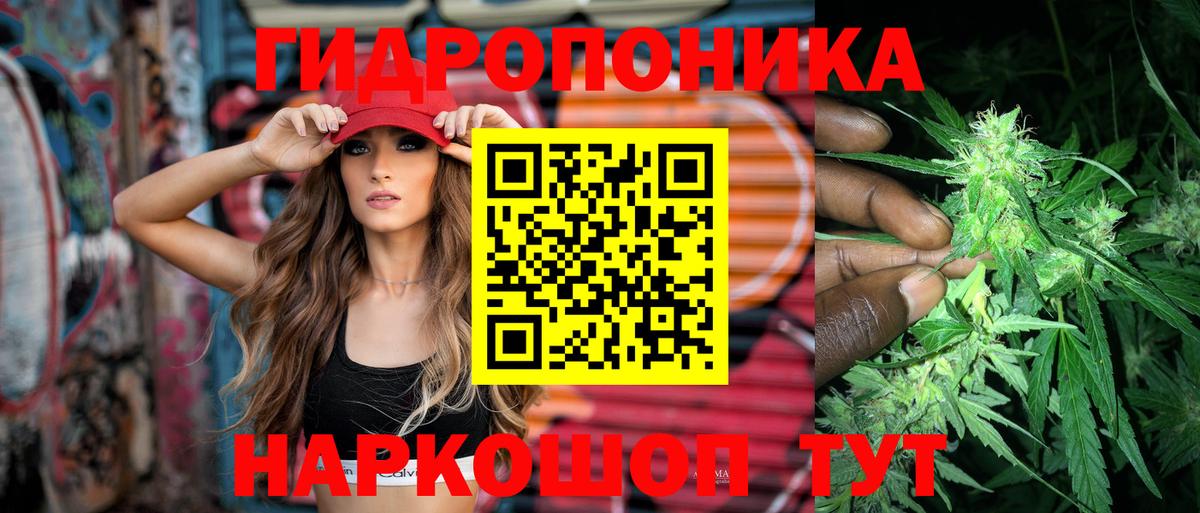 Бошки Шишки планчик  Шишки марихуана план  Вход с VPN  Менделеевск  Марихуана White Widow 
